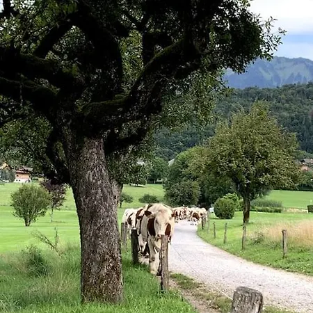 Petit Cocon Entre Lac, Golf Et Montagne, Proche D'Annecy Giez Exterior photo