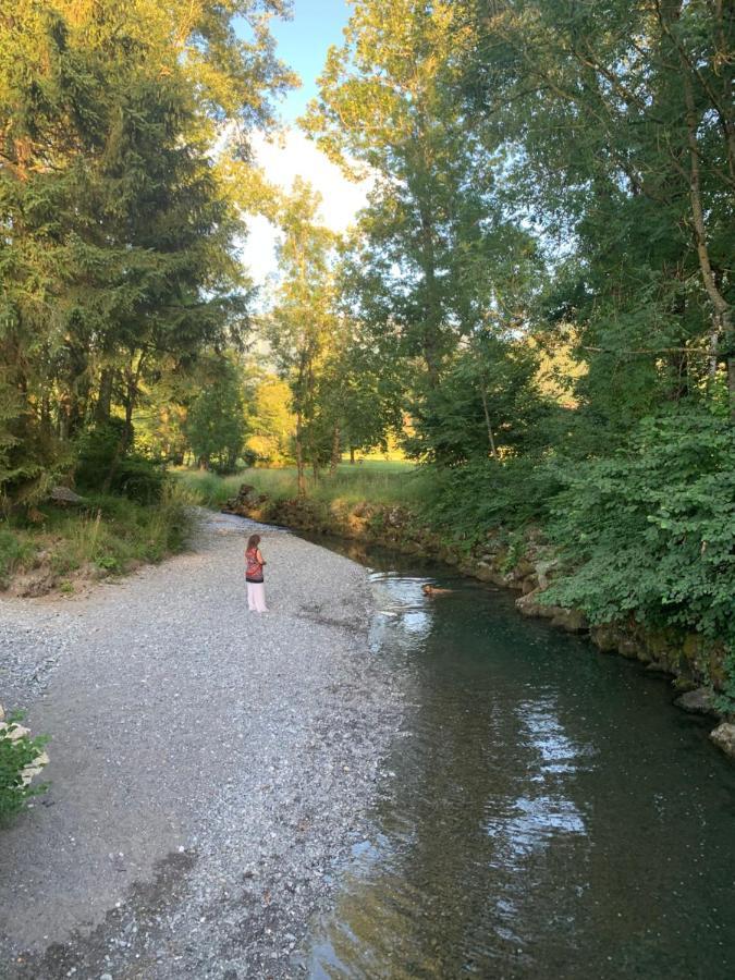Apartment Petit Cocon Entre Lac, Golf Et Montagne, Proche D'annecy